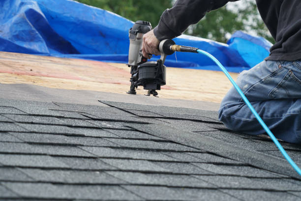 Best Flat Roof Repair Services  in Colonial Beach, VA