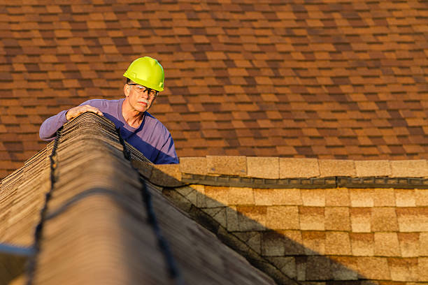 Best Storm Damage Roof Repair  in Colonial Beach, VA