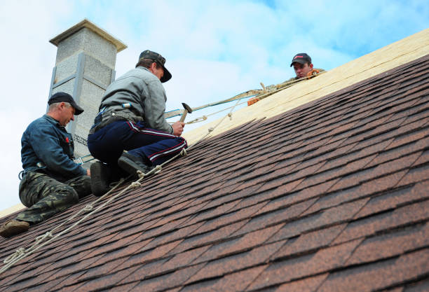 Quick and Trustworthy Emergency Roof Repair Services in Colonial Beach, VA