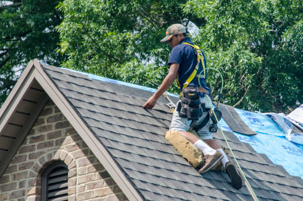 Best Roof Leak Repair  in Colonial Beach, VA